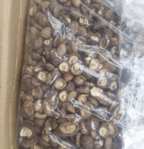 เห็ดหอมแห้งจำนวนมากส่วนผสมจากเวียดนามสำหรับซุปก๋วยเตี๋ยวและอาหารรสเลิศ - Product Image 6