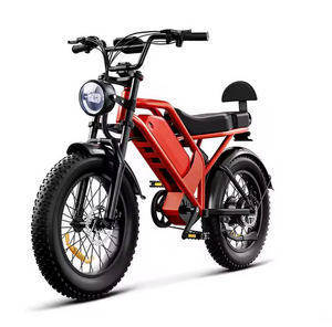 Vélo électrique pour adultes, 12 vitesses, pneus larges de 24 pouces, batterie au lithium 12V, 32 MPH, cadre en aluminium, système de freinage parfait, consommation idéale en watts-heures - Product Image 1