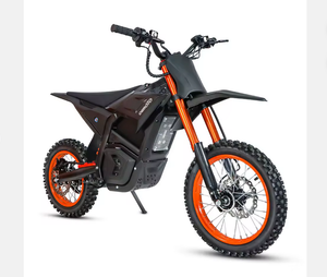 Prêt pour la livraison par coursier, moto électrique tout-terrain 1000W 48V20AH, batterie au lithium, moteur à moyeu arrière, cadre en aluminium, frein à disque - Product Image 2
