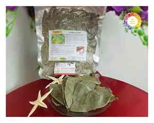 Ingrediente de té natural Premium de hojas de Graviola de Guanábana seca de Vietnam cuidadosamente procesado para envíos a granel y embalaje al por menor - Product Image 3