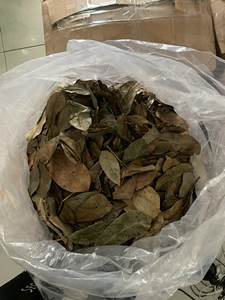 ต้นทุเรียนเทศแห้งตากแดดและคัดเลือกใบชาสมุนไพรจากเวียดนาม - Product Image 4