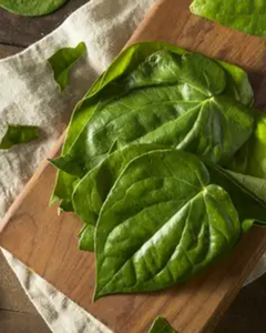 Hojas de Betel a Granel para Exportación - Product Image 3