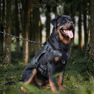 Arnés Táctico Resistente <span class=keywords><strong>para</strong></span> Perros, <span class=keywords><strong>Chaleco</strong></span> Transpirable Ajustable con Asa, Arnés de Entrenamiento Antitirones <span class=keywords><strong>para</strong></span> Perros Grandes y Medianos, <span class=keywords><strong>para</strong></span> Exteriores - Product Image 5