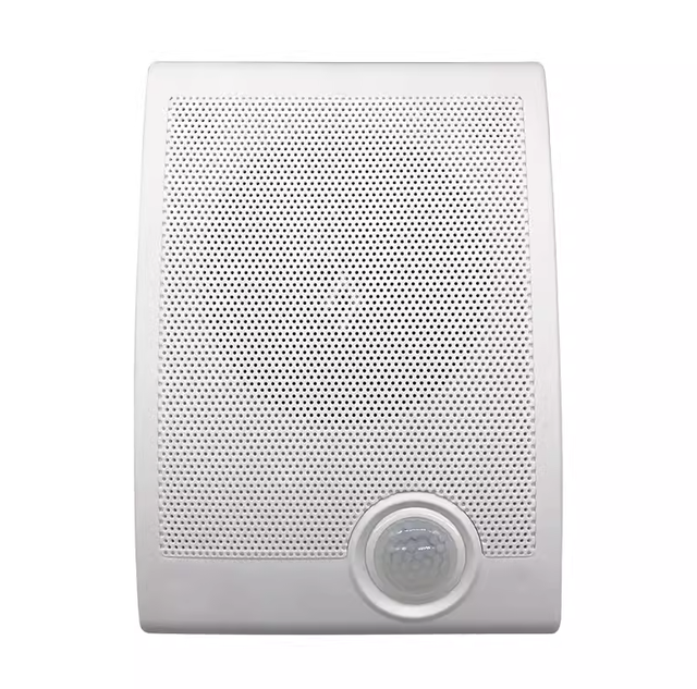 Wall Motion Activated Speaker Support TF Card Audio Player Voice Speaker 20w