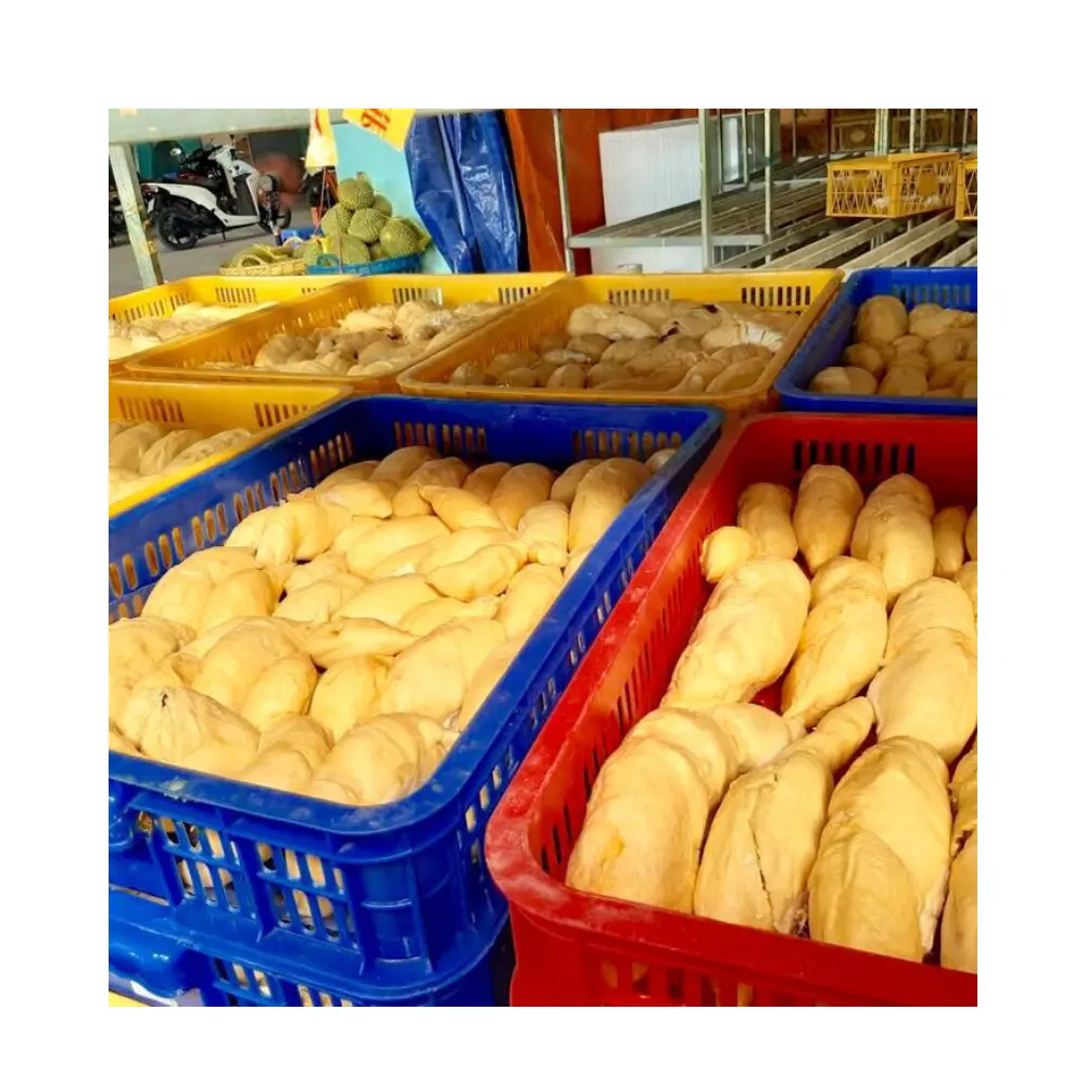 과일의 왕 고품질 냉동 껍질을 벗긴 두리안 베트남의 동남아시아 냉동 두리안 경쟁력있는 가격