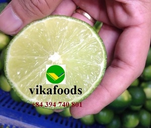 Direct From Farm High Quality Seedless Vietnamese Lemons Best Price Fresh Citrus <strong>Fruit</strong> <strong>Long</strong> Pattern <strong>Lime</strong> for Food