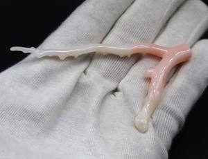 หินปะการังสีขาวธรรมชาติขนาดใหญ่อัญมณีหยาบขัดแบบหลวมสำหรับทำเครื่องประดับทำปะการังสีขาวญี่ปุ่นคุณภาพสูง - Product Image 4