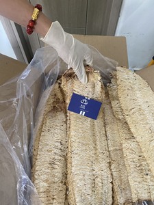 เครื่องอบแห้งแบบดิบไม่ใส่เกลือปลาหมึกแบบไม่ใส่เกลือแบบม้วนปลาหมึกแห้งของเวียดนาม + 84 966 274 584ดอกบัวสีน้ำเงิน - Product Image 5