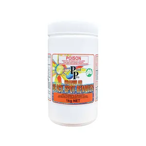 POOL PRO 1KG Nettoyant anti-taches noires pour piscine extérieure en plastique - Product Image 1