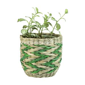 Set of 3 Multifunctional <b>Stainless</b> <b>Steel</b> Seagrass Storage Baskets Multicolor Sedge <b>Bin</b> Planter Vietnam Wholesale - Product Image 1