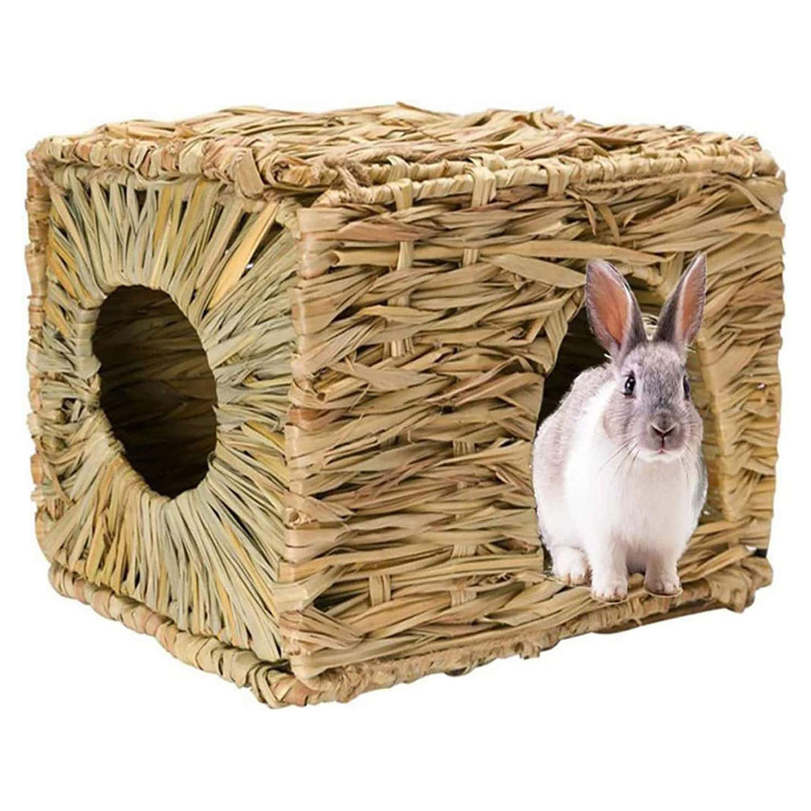 ธรรมชาติ