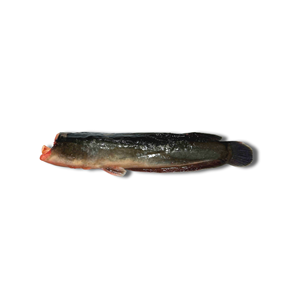 Pescado Congelado, Bagre sin Cabeza, Alimento para Peces, Empaque al Vacío a Granel, IQF, Exportación - Product Image 3