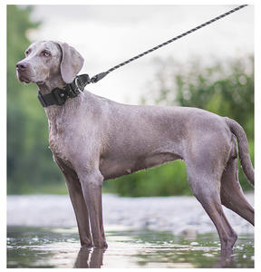 Collares de Perro Resistentes de Nailon de Alta Resistencia para Uso Policial, Extra Anchos y Acolchados con Hebilla de Acero Inoxidable - Product Image 5