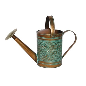 Arrosoir en métal de vente chaude pour les plantes d'extérieur et d'intérieur arrosoir de jardinage galvanisé avec poignées en acier inoxydable - Product Image 3