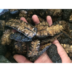 INFUSION DE TRANCHES DE NONI SÉCHÉES/SUPPORT D'ÉTIQUETTE PROPRE - Product Image 6