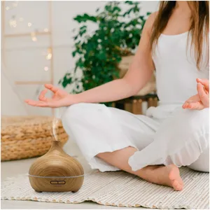 Prixton Hidra Personalized <b>Aromatherapy</b> <b>Diffuser</b> <b>Incense</b> & <b>Incense</b> <b>Holders</b> High Quality Gadgets Humidifier - Product Image 4