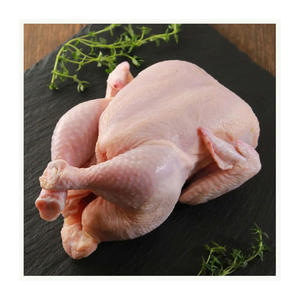 Pollo Halal Congelado Brasileño de Alta Calidad, Carne de Aves Halal Congelada para Mantener el Sabor Natural y la Textura Jugosa - Product Image 2