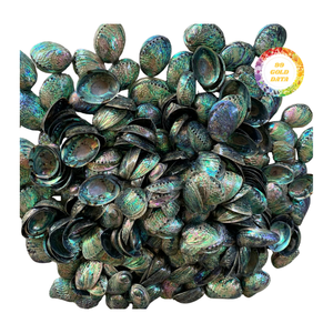 Unpolished Raw Abalone Shell with Natural <b>Texture</b> for DIY Craft Processing Custom Finishing and Workshop Use - Product Image 6