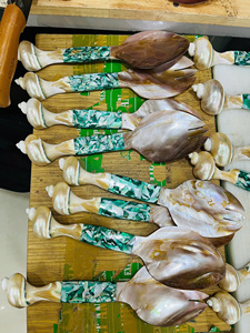 Turbo Shell Handle 26cm Cubiertos Tallado a mano Madre de perla Cuchara de cocina para el hogar Cocina Fiesta Restaurante Uso - Product Image 2