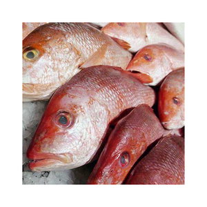ปลาทั้งตัวจุดสีฟ้าอาหารทะเลสดขายส่งปลาทูขาวแช่แข็ง - Product Image 1