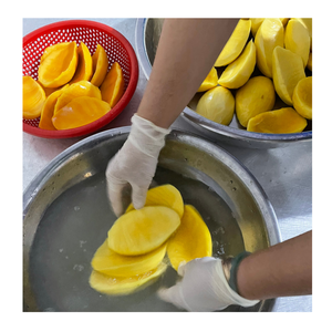 มะม่วงแช่แข็งเวียดนามลูกเต๋าและชิ้นในสไตล์ iqf มะม่วงแช่แข็งจาก99ข้อมูลทองสำหรับ B2B และซัพพลายเออร์ - Product Image 5