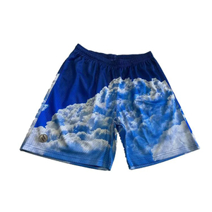 Shorts en maille pour hommes, tissu extensible, respirant, pour la course à pied, la gym, les activités sportives, shorts de sport en maille pour hommes, shorts d'entraînement élastiques - Product Image 6