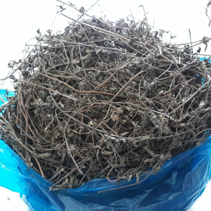 Daun Jelly Rumput Kering-Mesona Chinensis Vietnam Grosir Harga Murah Dipetik Tangan Kualitas Premium Rasa Manis Ringan 13%