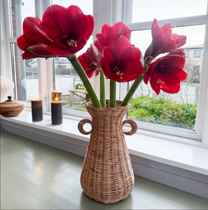 Handmade Rattan <b>Decorative</b> <b>Vase</b> With Handles Sustainable Eco Friendly Woven <b>Vase</b> for Bulk Wholesale - Product Image 1