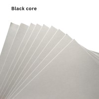 Papier d'art couché brillant et mat double face de 80/90/100/105/115/120/128/130/150/157/170/200/250/300/350 g/m², de 80 g/m² à 300 g/m²