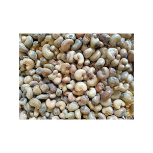 جوز الكاجو الخام من StarLab المحصولة مباشرة من الحديقة بأسعار جيدة الأعلى مبيعًا - Product Image 5