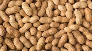 Organic Dried <b>Peanuts</b> In-Shell Groundnuts Factory Price Bulk Sale for Sale - Product Image 3