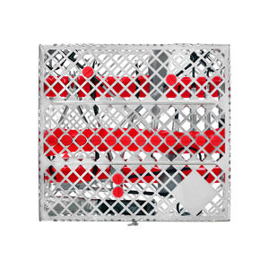 Kit de chirurgie dentaire pour extraction, ensemble d'élevateurs et de forceps de qualité allemande (10 pièces) - Product Image 2