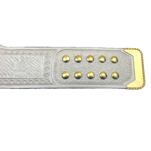 Personalizado World Heavyweight Professional Wrestling Championship Belt Aleación de alta calidad Precio barato OEM Servicio de Culturismo - Product Image 5