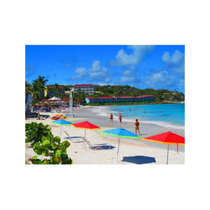 Troncos de haya en cantidades a granel para aplicaciones de muebles y pisos Excelentes precios disponibles - Product Image 5