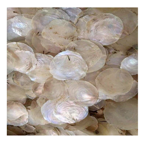 เปลือกหอยหัตถกรรม-เปลือกหอยจากธรรมชาติที่ไม่เหมือนใครจากเวียดนาม-ทำความสะอาดเปลือกหอยสำหรับงานฝีมือ - Product Image 4