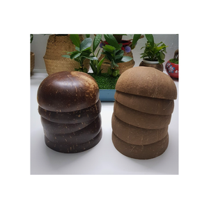 Tazón de coco artesanal Binh Minh más vendido, cáscara ecológica, seguro para alimentos, desechable, listo para enviar desde el fabricante de Vietnam - Product Image 3