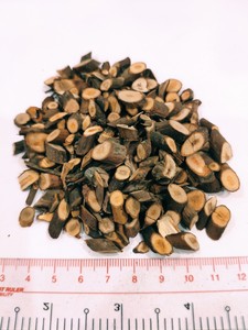 Segment de branche de Cassia piquante / Branche naturelle en forme de Gyepi / Petite branche en bois en forme de Daruchini (WA : +84362512699) - Product Image 6