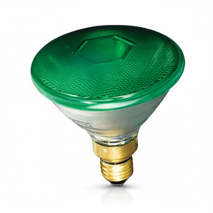 80W PAR 38 VERDE Garden Lights 230V E27 Product Category - Product Image 2