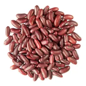 Speckle Kidney Beans Wholesale Pinto Bean Red Speckled Kidney Beans For Sale From Germany Supplier
