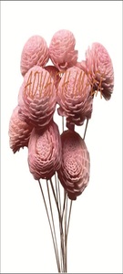 Sola Wood Flower Room Fragancia Hecho a mano Sola Flower Echo Friendly Sola Flower E Alternativa natural para refrescar el aire Reed Diffus - Product Image 4