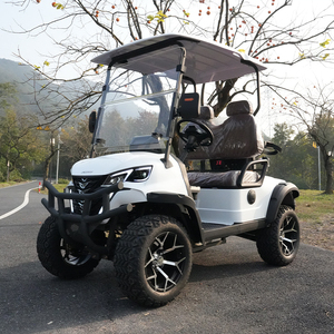 รถกอล์ฟไฟฟ้าหรือแก๊ส 2 4 6 ที่นั่ง ใหม่ มือสอง ตัวเลือกแบบกำหนดเองสำหรับทุกงบ - Product Image 1
