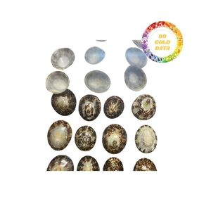 Vente en gros de coquilles de patelle pour la décoration d'aquarium Idées d'artisanat artistique avec une qualité supérieure et un approvisionnement à prix compétitif - Product Image 3