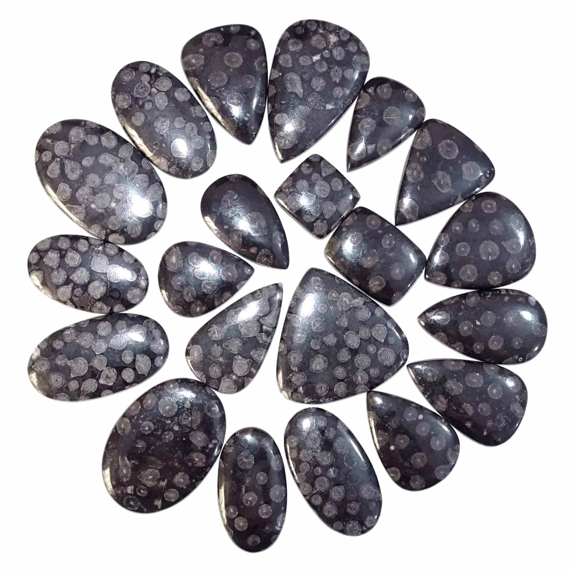 ตามที่เห็นในภาพ