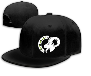 Gorra de Lona de Algodón para Hombre 100% Algodón - Product Image 1