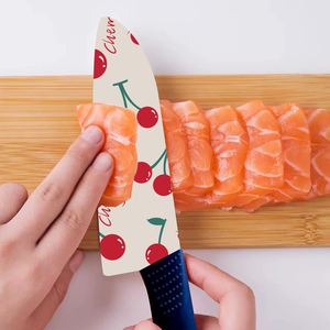 Meilleur vendeur Couteau de chef tactique Lame en céramique Plastique Autodéfense Protection personnelle Sécurité Formation Vente chaude Livraison rapide - Product Image 4