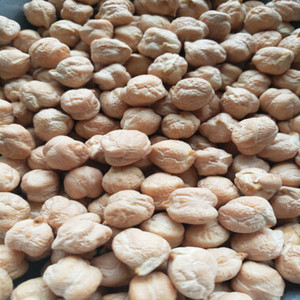 Garbanzos Blancos Kabuli Orgánicos de la Mejor Calidad, 12 mm, Secos a Granel, con Precio Competitivo y Empaque Personalizado para la Venta - Product Image 1