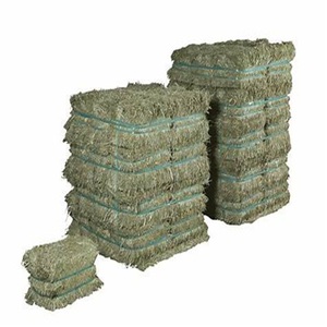 Heno de Alfalfa Seco Premium al por Mayor 2025, en Pacas, para Alimentación de Caballos y Ganado, Exportación desde Austria - Product Image 6