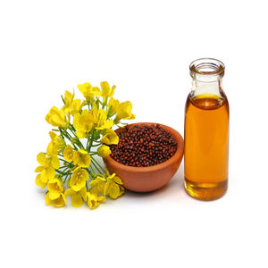 Huile essentielle de moutarde biologique pressée à froid de qualité alimentaire pour cheveux et huile de moutarde additive - Product Image 3