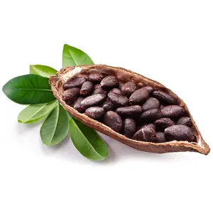 Kakao Fermentasi Kualitas Premium Terlaris dengan Harga Grosir