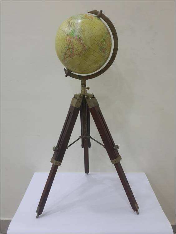 สีเขียว/สีน้ำตาล